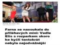 Kliknte pro zobrazen pln velikosti